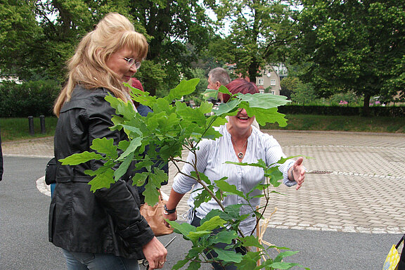 Baumsetzling Übergabe vor Schützengesellschaft Großschweidnitz